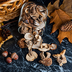 Dry wild mushrooms